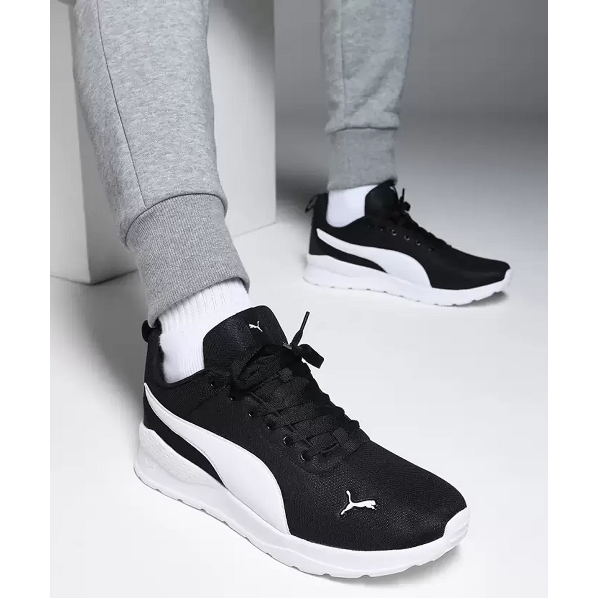 Puma Exclusive Radcliff Sports Training & Gym Shoes For Men (39420501)