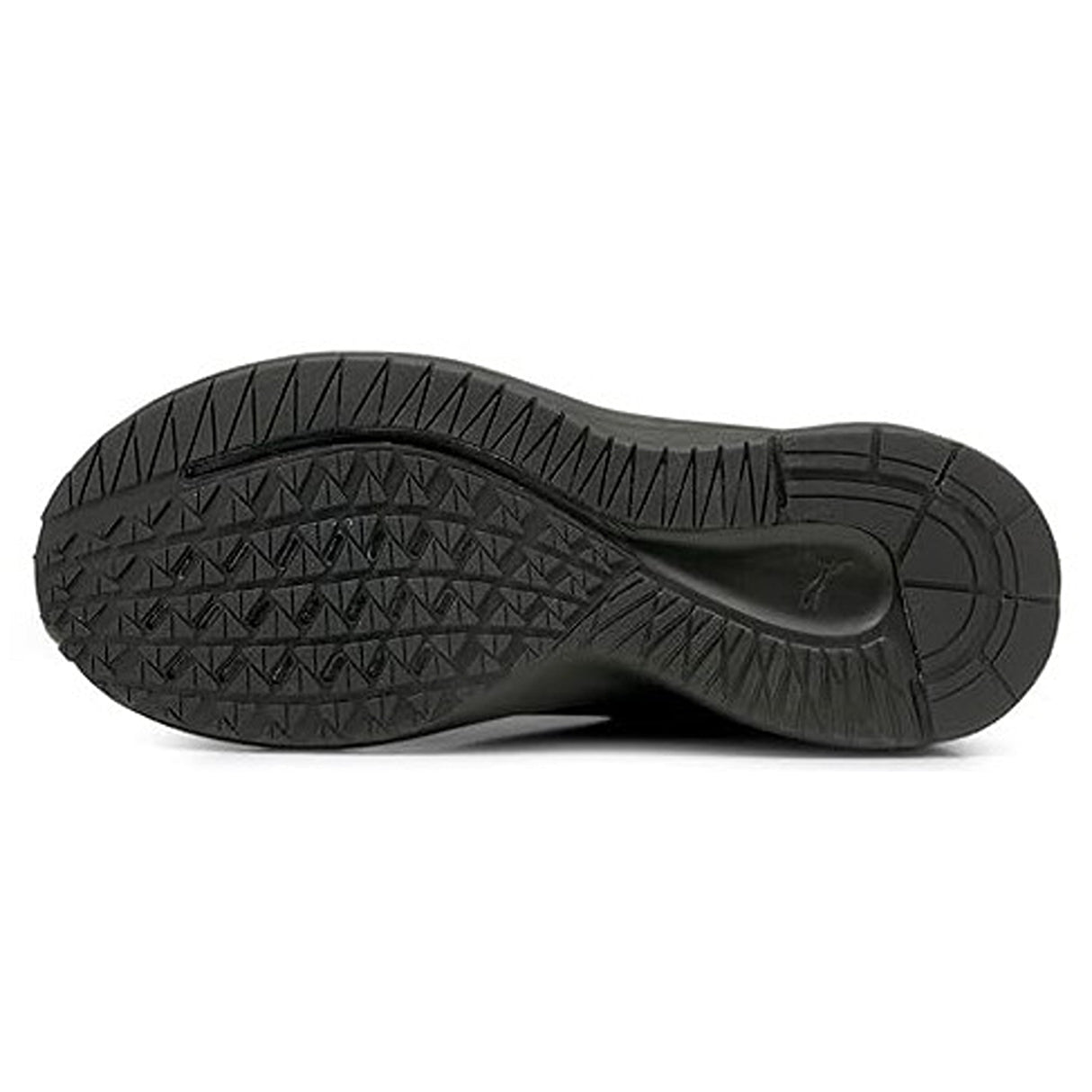 Puma Men's Aviator WTR Running Shoe (19550602)