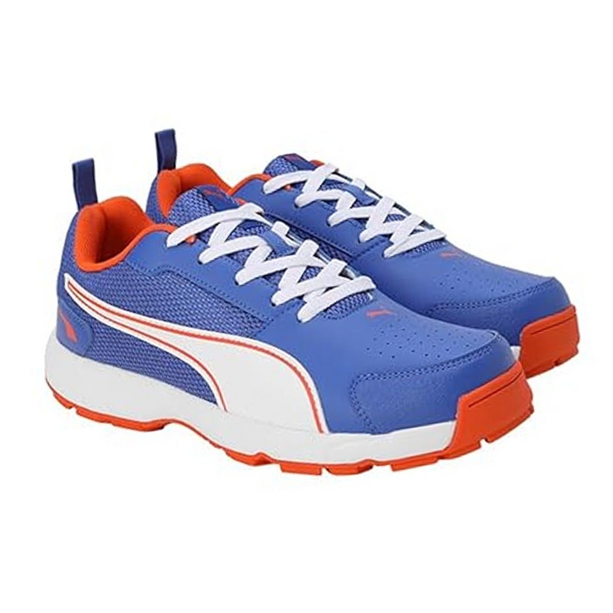 Puma Men's Cricket HighRun Cricket Shoe(10780604)