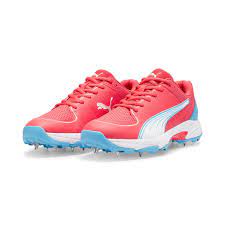 Step Up Your Style Buy shoes online in Delhi by My Shoe