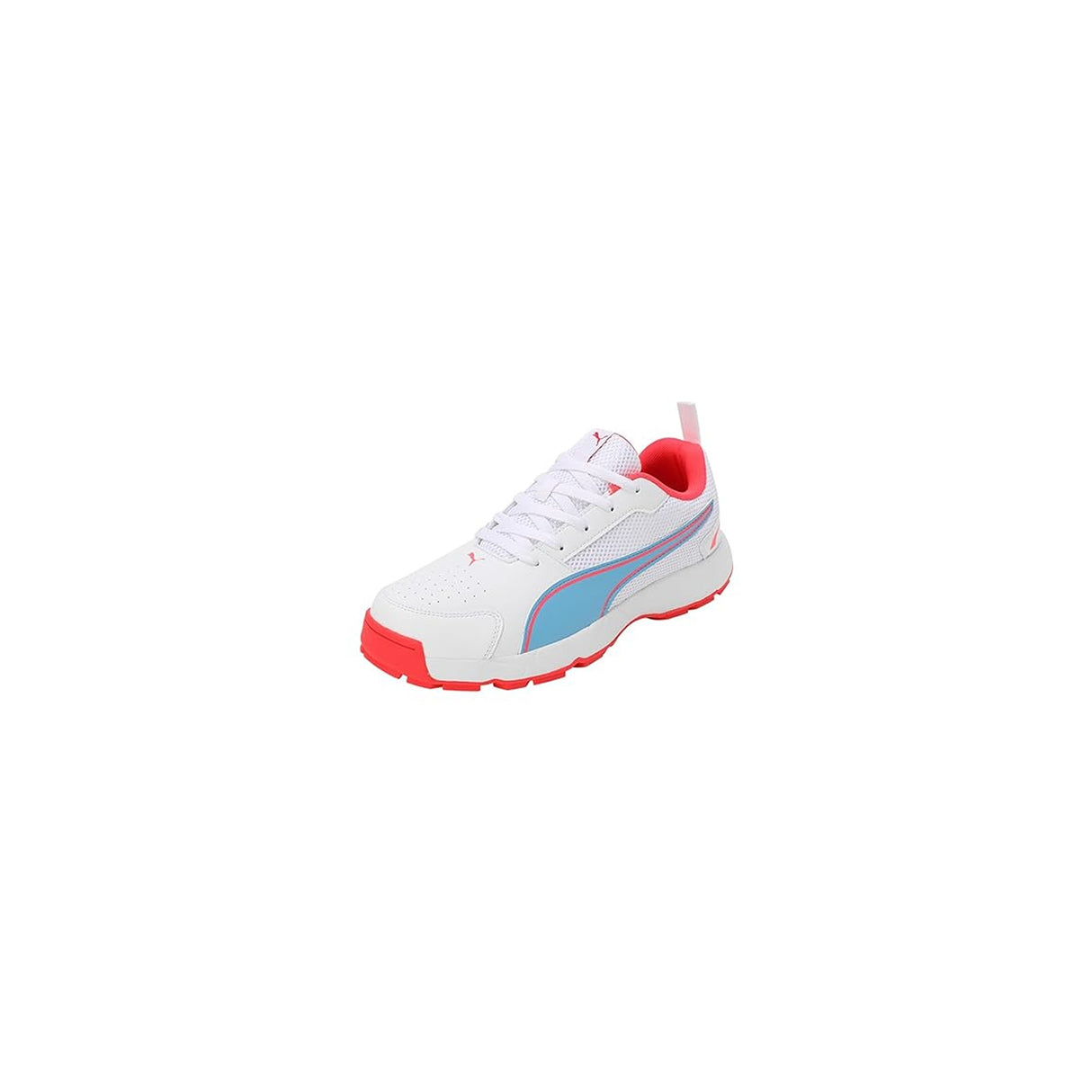 Puma Men's Cricket HighRun Cricket Shoe(10780606)