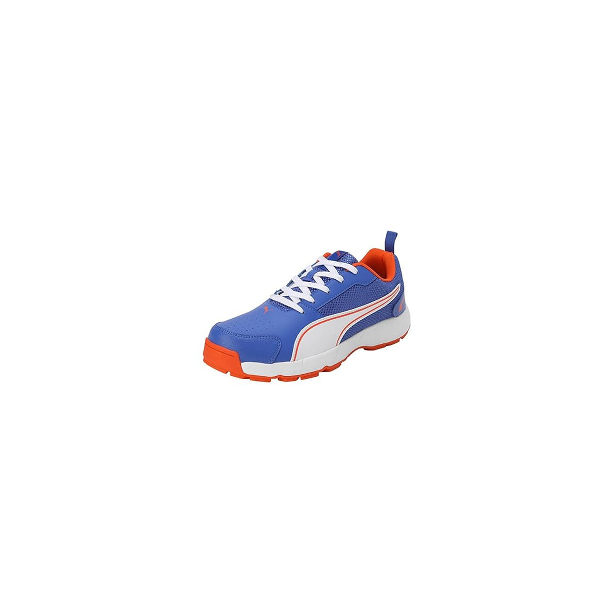Puma Men's Cricket HighRun Cricket Shoe(10780604)