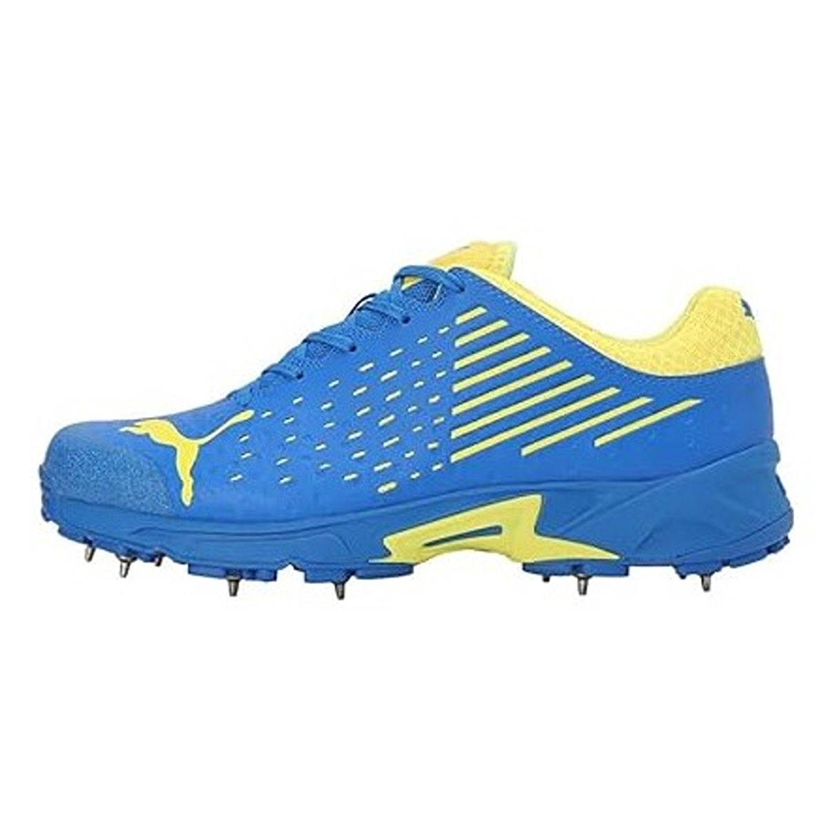 Puma Mens Spike 22.1 Cricket Shoe (10666808)