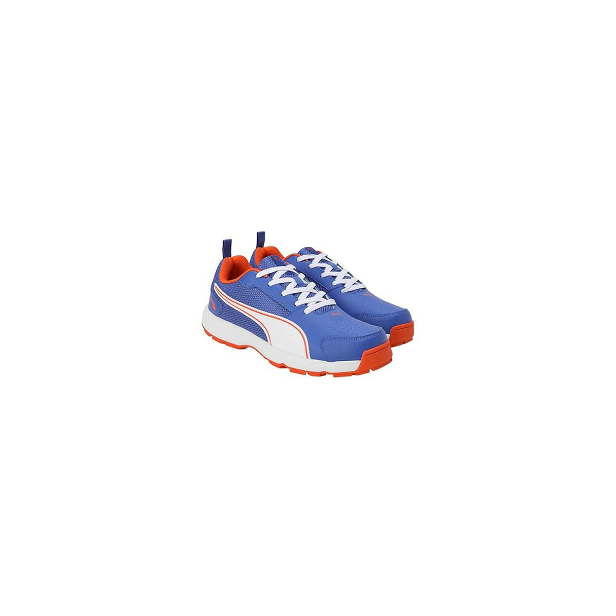 Puma Men's Cricket HighRun Cricket Shoe(10780604)