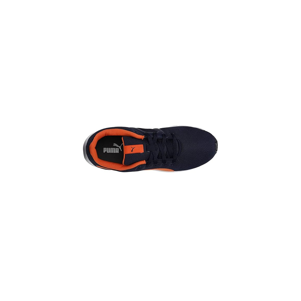 Puma Men's Bruten Shoes (38136802)