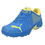 Puma Mens Spike 22.1 Cricket Shoe (10666808)