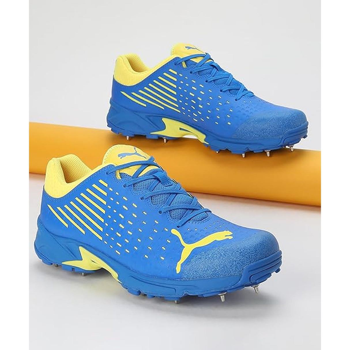 Puma Mens Spike 22.1 Cricket Shoe (10666808)