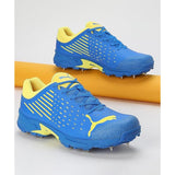 Puma Mens Spike 22.1 Cricket Shoe (10666808)
