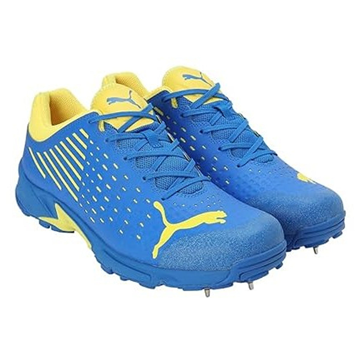 Puma Mens Spike 22.1 Cricket Shoe (10666808)
