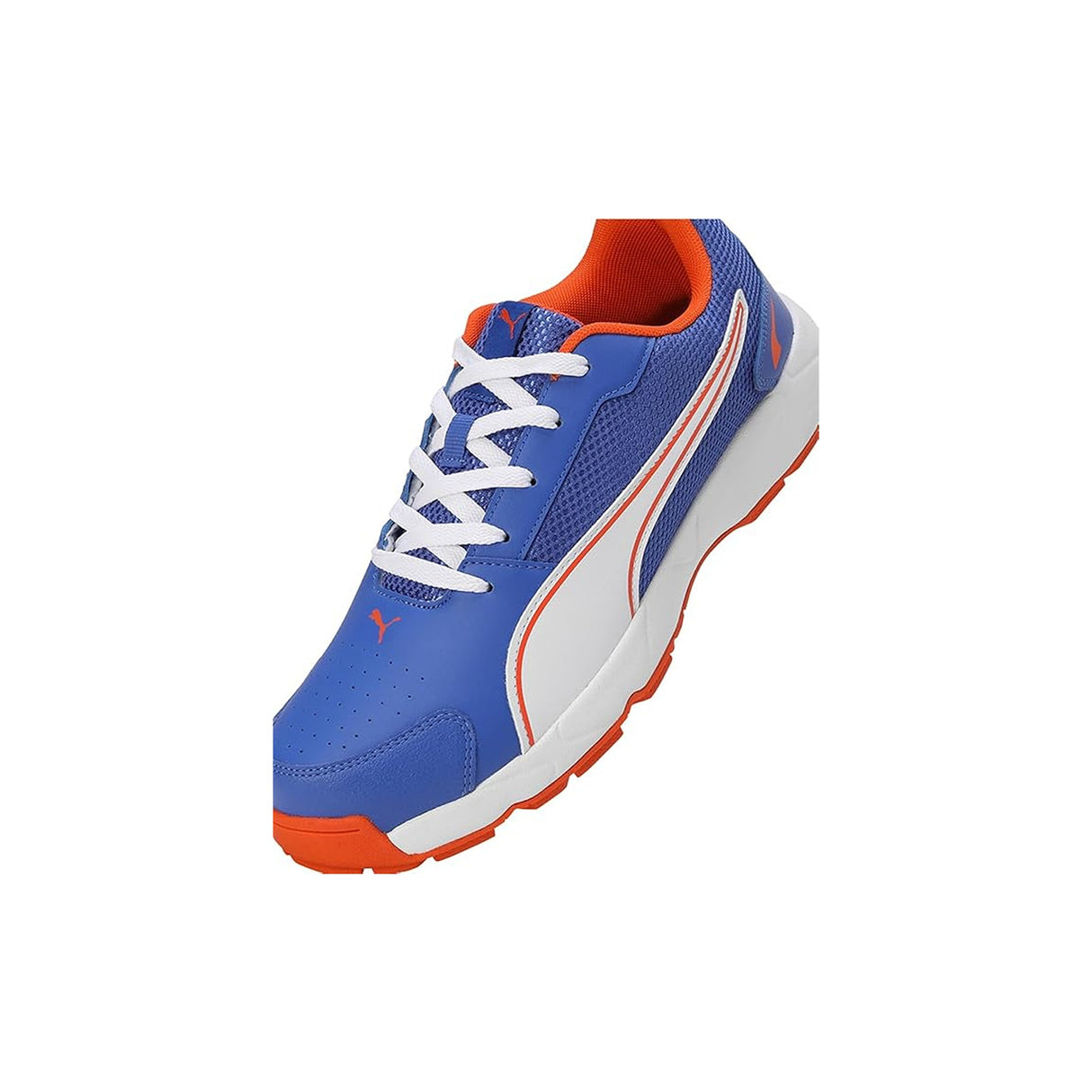 Puma Men's Cricket HighRun Cricket Shoe(10780604)