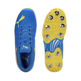 Puma Mens Spike 22.2 Flat (10729904)