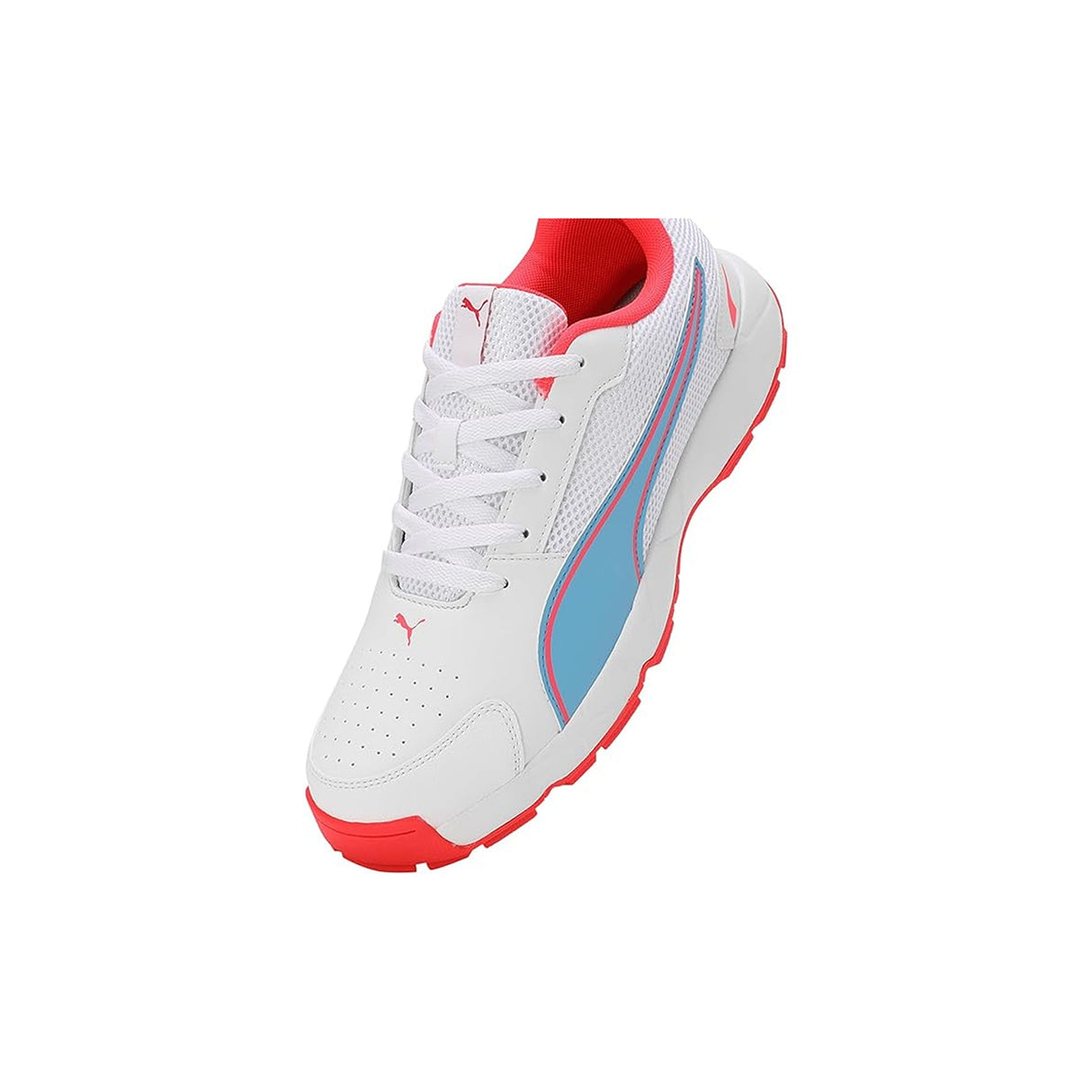 Puma Men's Cricket HighRun Cricket Shoe(10780606)