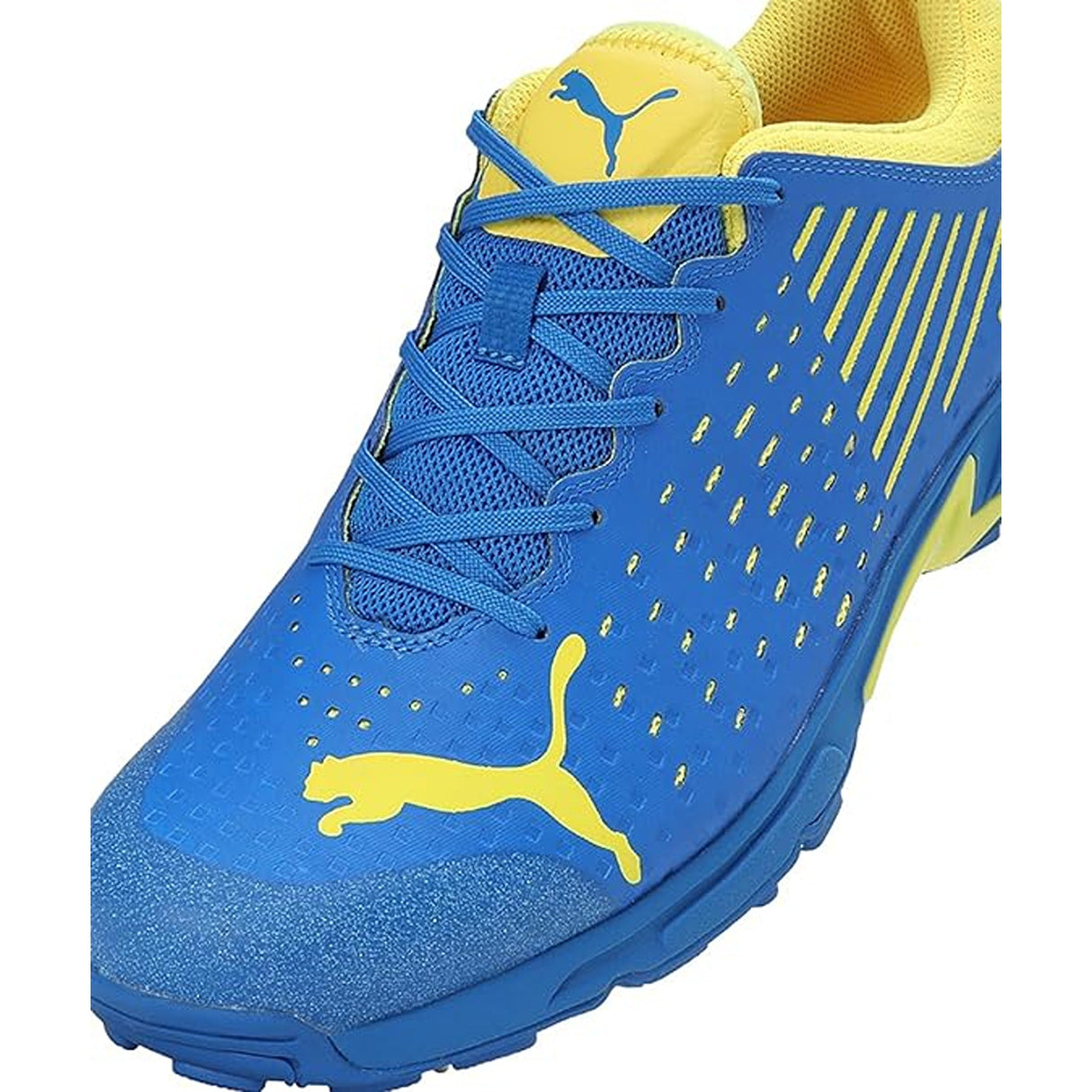 Puma Mens Spike 22.1 Cricket Shoe (10666808)