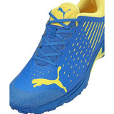 Puma Mens Spike 22.1 Cricket Shoe (10666808)