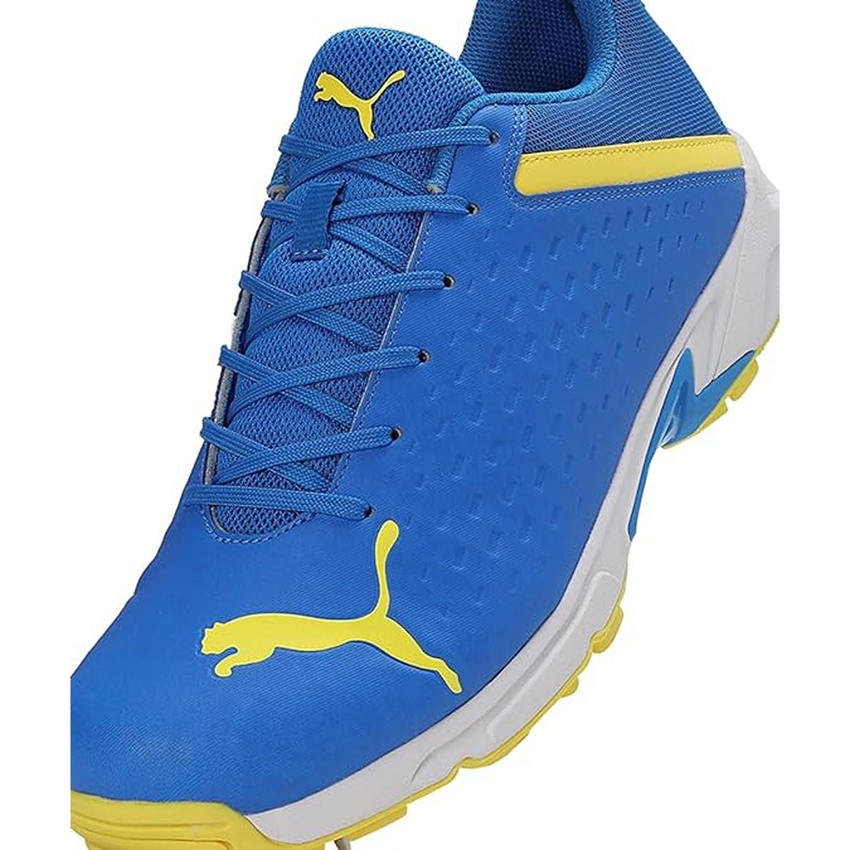 Puma Mens Spike 22.2 Flat (10729904)
