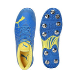 Puma Mens Spike 22.1 Cricket Shoe (10666808)