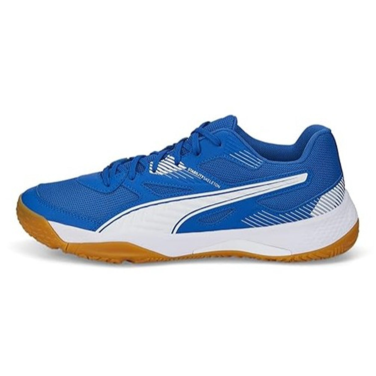 Puma Unisex-Adult Solarflash Ii Indoor Court Shoe (10688203)